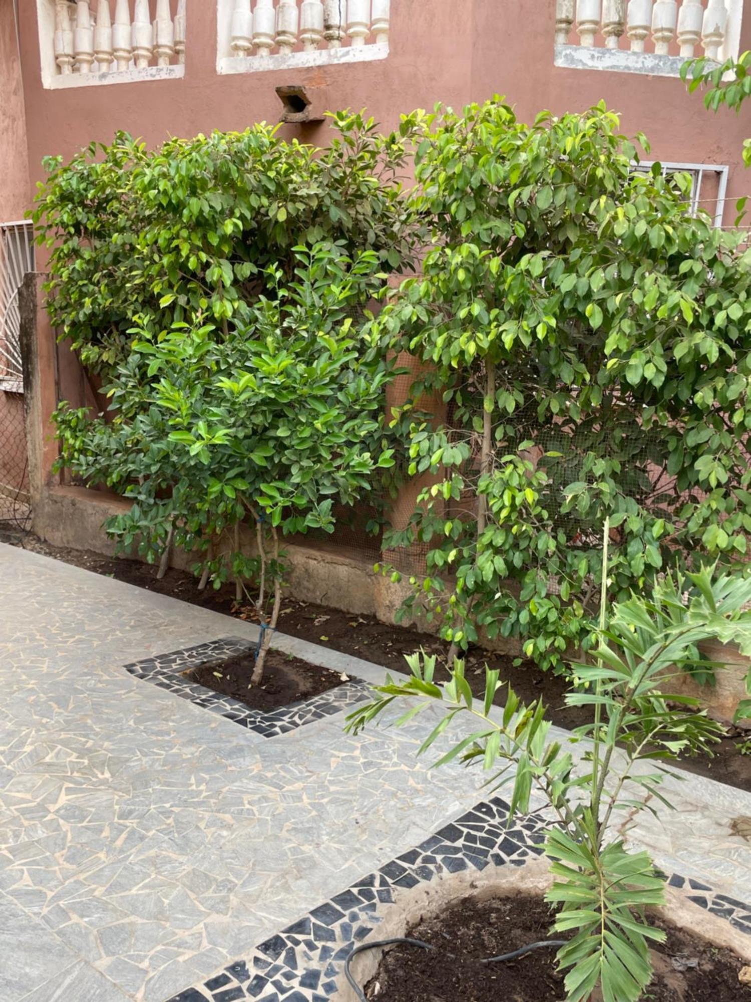 Villa18 Safari Village Saly Εξωτερικό φωτογραφία